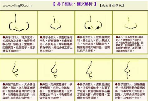 山根紅紅的|「面相」鼻為面王，鼻子看你性格和財運！